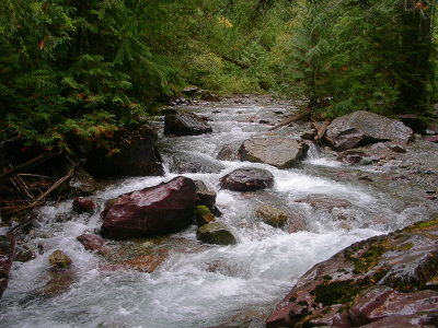 [This creek changes direction in a zig zag pattern between multiple large boulders. Lots of whitewater generated and lots of greenery on the sides. ]